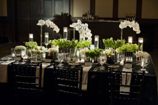 View More: http://tamythacameron.pass.us/amandarosssanders2016