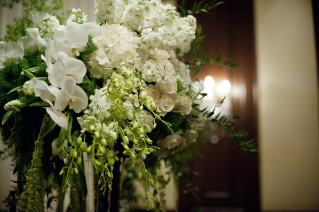 View More: http://tamythacameron.pass.us/amandarosssanders2016